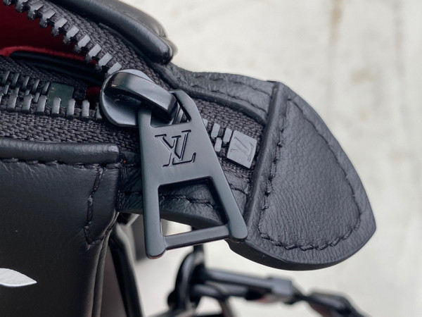 l0*is V*t0n coussin pm